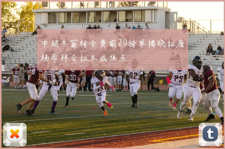 中超冬窗转会费前20榜单揭晓拉唐杨希拜合拉木成焦点