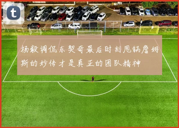 杨毅调侃东契奇最后时刻甩锅詹姆斯的妙传才是真正的团队精神