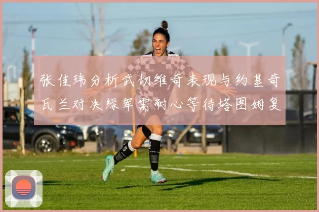 张佳玮分析武切维奇表现与约基奇瓦兰对决绿军需耐心等待塔图姆复出